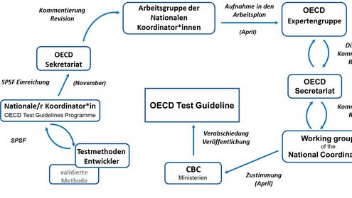 Grafik OECD Guidelines Infografik zum Workflow und den OECD Guidelines