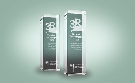 Zwei Pokale in Stelenform