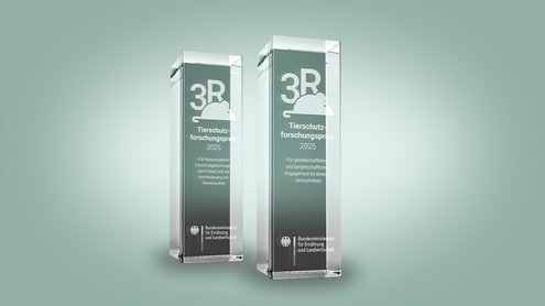 Zwei Pokale in Stelenform