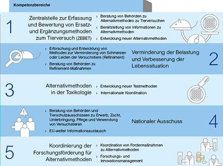 Deutsches Zentrum zum Schutz von Versuchstieren (Bf3R) - Kompetenzbereiche